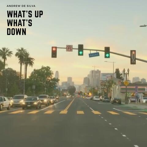 What's Up What's Down