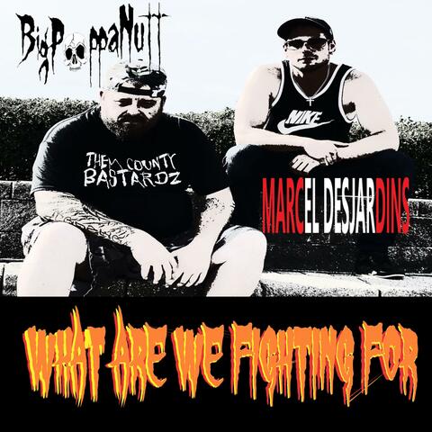 What Are We Fighting for (feat. Marcel Desjardins)
