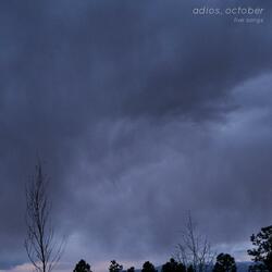 Beach Fossils Ripoff