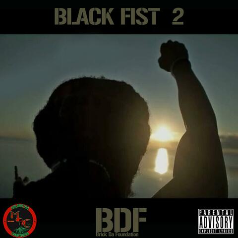 Black Fist 2