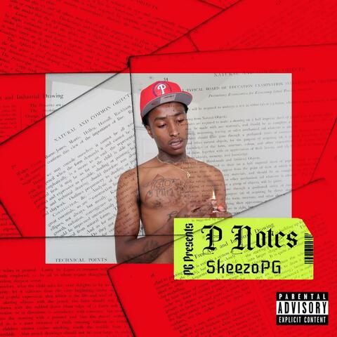 P Notes