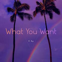 What You Want