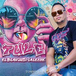 Blanquito la Leche-Tule