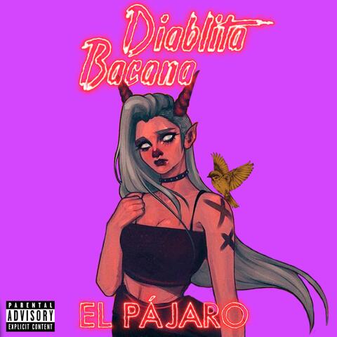 Diablita Bacana