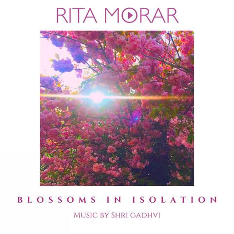 Blossoms in Isolation