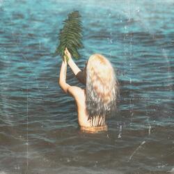 Dreamer