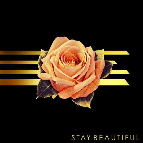 Stay Beautiful