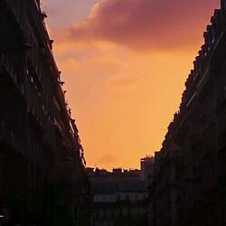 Elle a seumé (Post C animal T)