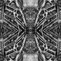 Tektite (feat. Connor Rothrock)