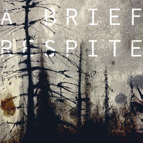 A Brief Respite