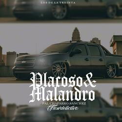 Placoso y Malandro