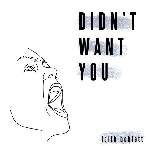 Didn't Want You