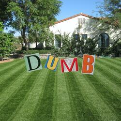 Dumb