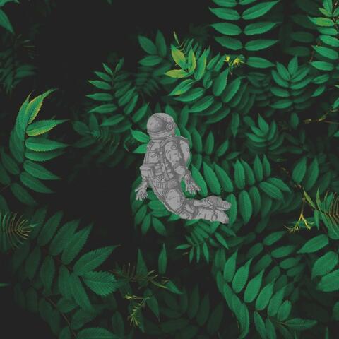 Terra Mentality: A Lofi Album