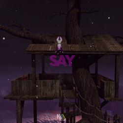 Say