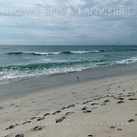 The Wave Returns to the Ocean