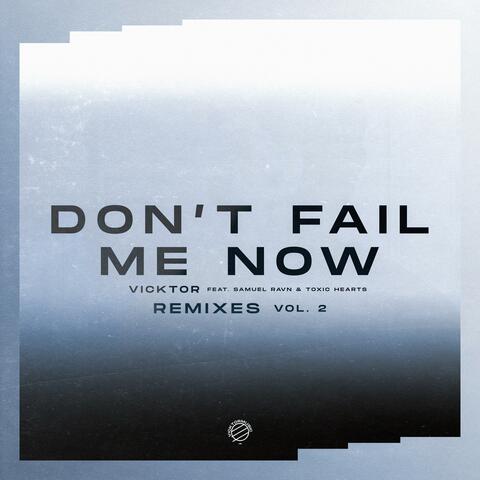 Don't Fail Me Now (Remixes, Vol. 2)