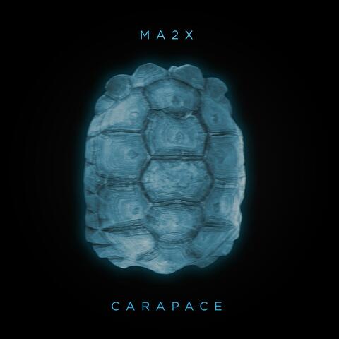 Carapace