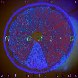 M•BRI•O_​/​STSat​-​2c_