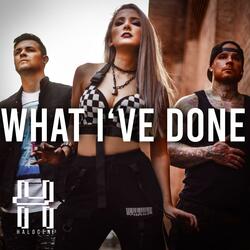 What I've Done