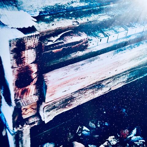 The Last American Fleet