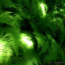 Make It Worth Your While