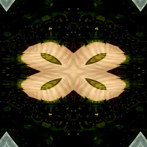 Seen and Unseen