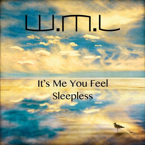 It's Me You Feel