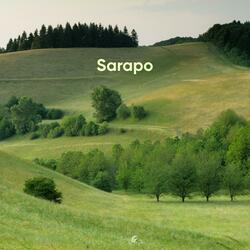 Sarapo