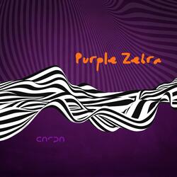 Purple Zebra