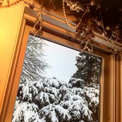 Failed to See the Signs Early On