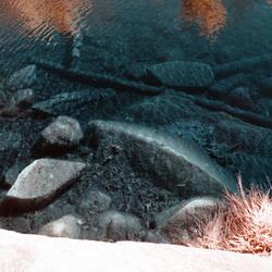 If It Were Only That Easy