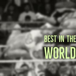 Best in the World