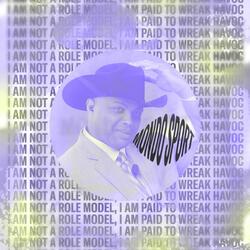 I Am Not a Role Model, I Am Paid to Wreak Havoc