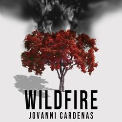 Wildfire