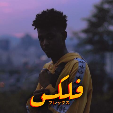 فلكس