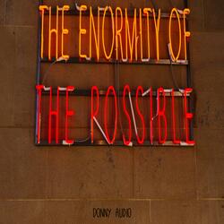The Enormity of the Possible