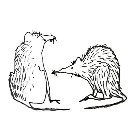 Rats