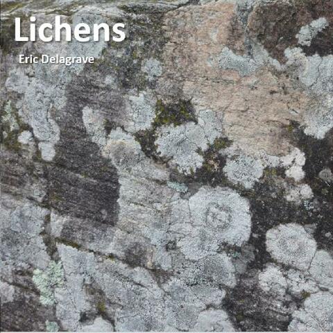 Lichens