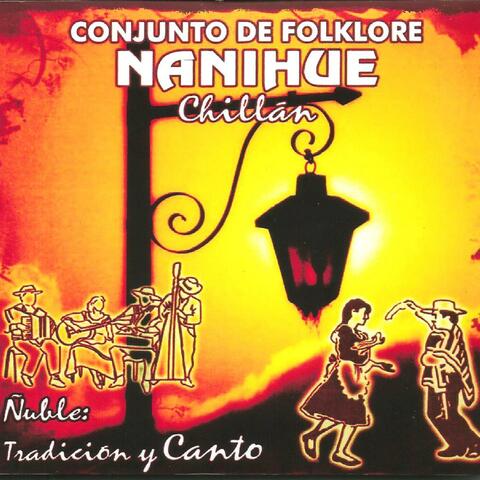 Ñuble: Tradición y Canto Vol. 7