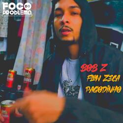 Flow Zeca Pagodinho (feat. Bob-Z)