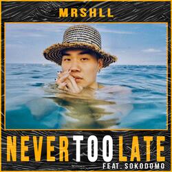 Never Too Late (feat. sokodomo & Jengi)