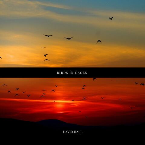 Birds in Cages