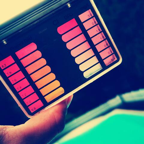 What's Your Level