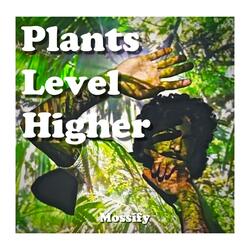 Higher Level Plants