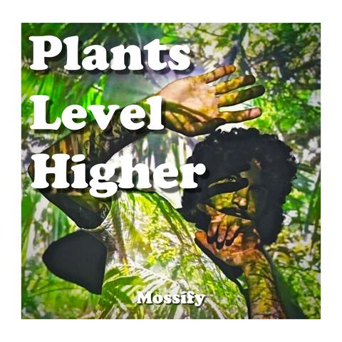 Higher Level Plants