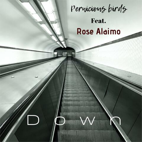 Down (feat. Rose Alaimo)