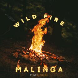 Wild Fire (Freestyle)