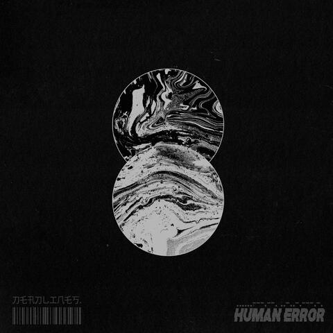 Human Error