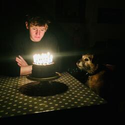 A Song For The Dog
